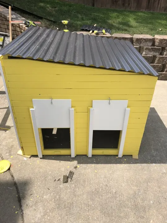 The yellow coop with its dark corrugated roof and two white sliding pop doors.
